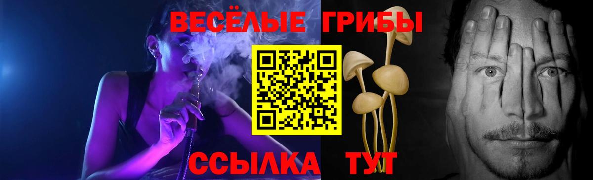 Волхов  Галлюциногенные грибы GOLDEN TEACHER  Вход с VPN  Галлюциногенные грибы Psilocybine cubensis 